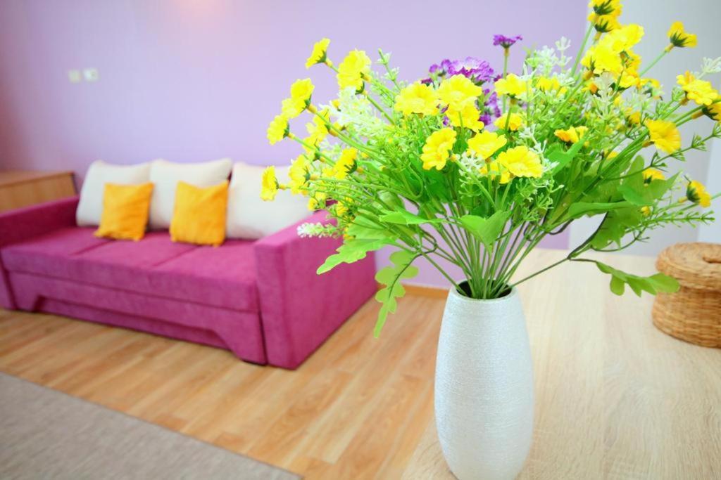 Flowers Apartments ティミショアラ エクステリア 写真